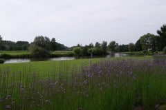 20190623_172148
