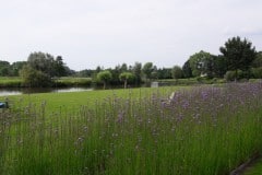 20190623_172450